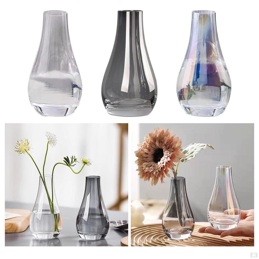 Bud Vases Glass Decor Creative Planter Pot Bottle Flower Vase Narrow Mouth
