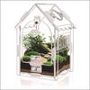 Acrylic Mini Pet Terrarium For Jumping Spider Hermit Crab Mantis Beetle Magnetic Habitat Home Desk For Kids Halloween Gift