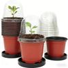 Ghivece de flori și coșuri – Containere pentru răsad