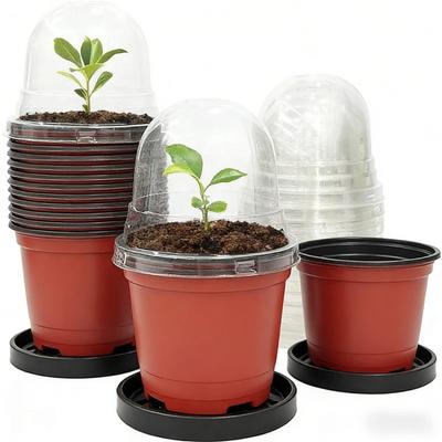 Seedling Special Nursery Pot20-40Personalized Moisture-Retaining Round Top Soft Baby Pot with Humidity, Starting from the Lid, S