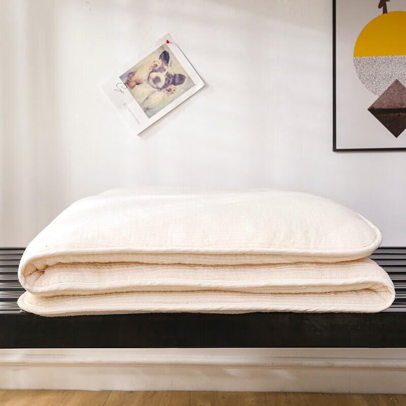 Xinlong Zhuyou White Cotton Quilt Core