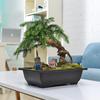 Flowerpots Imitation Purple Clay Succulent Plants Pots Outdoor Garden Landscape Bonsai Pot Trays Rectangular Square Planter
