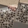 3D Embossed Black Lip Print Nail Art Stickers - Dark, Self-Adhesive DIY for Hot Girl Style