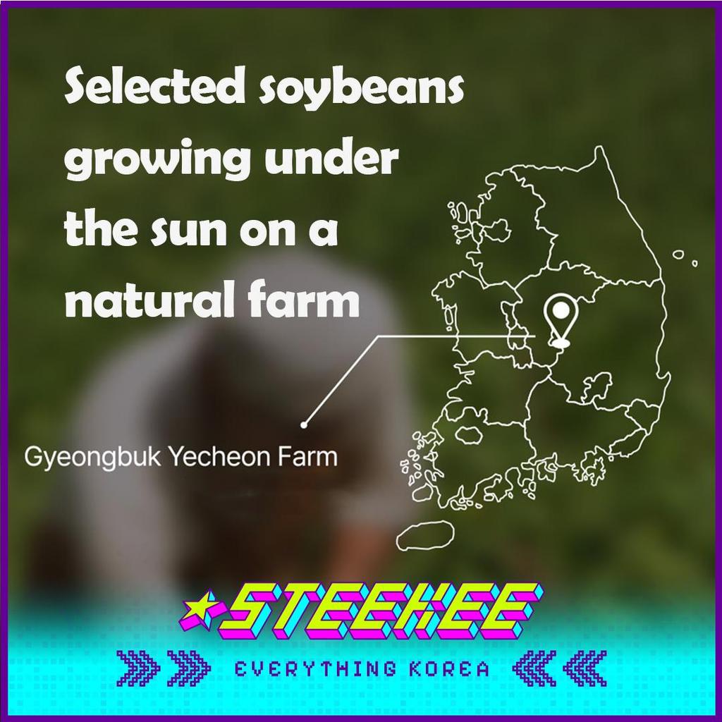 hetras Premium Hair Care Simkong Fragrance Anti-Hair Loss Shampoo 1013ml by Steekee Korea 4376