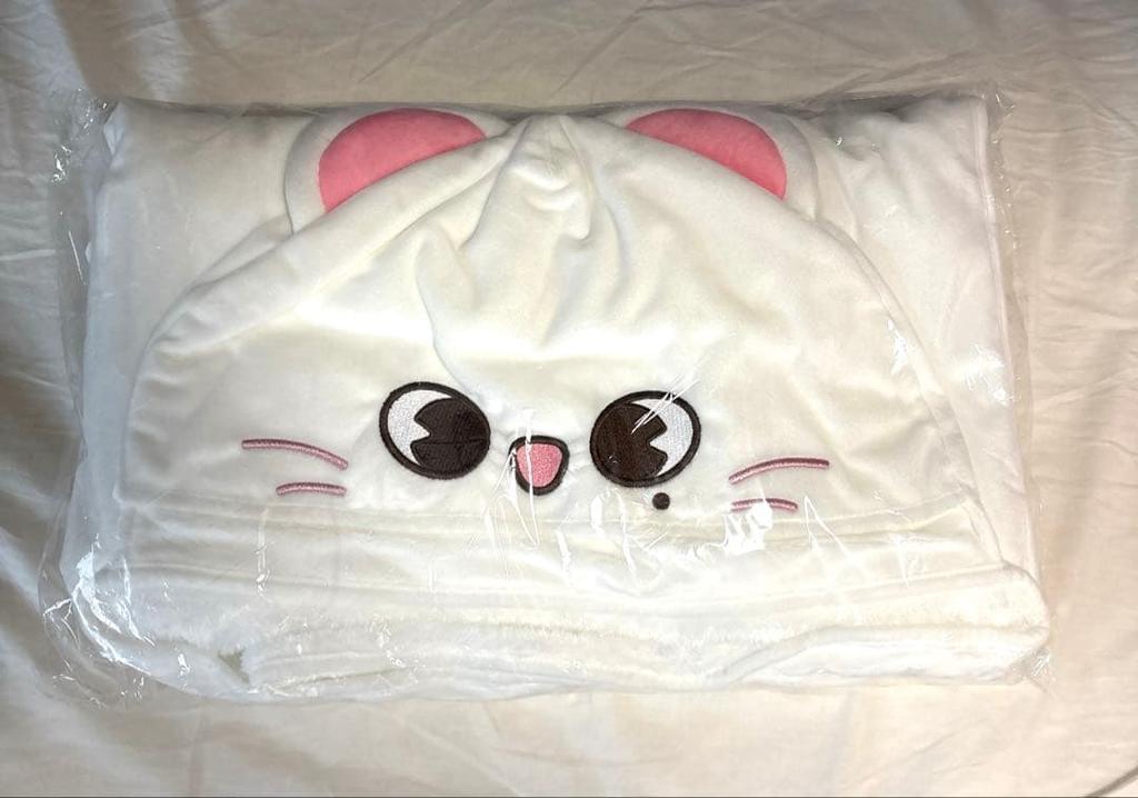 [POUŽITÉ] Stray Kids (Oficiální) SKZOO Genielet deka