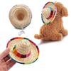 Colorful Dog Supplies Costume Mexican Straw Cap Sombrero Pet Ornaments Pet Straw Hat
