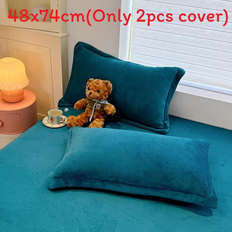 Modern Simplistic Doublesided Milk Velvet Pillowcase With Crystal Fleece For Home Comfort