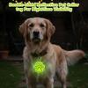 Double,sided Reflective Pet Collar/tag For Nighttime Visibility.