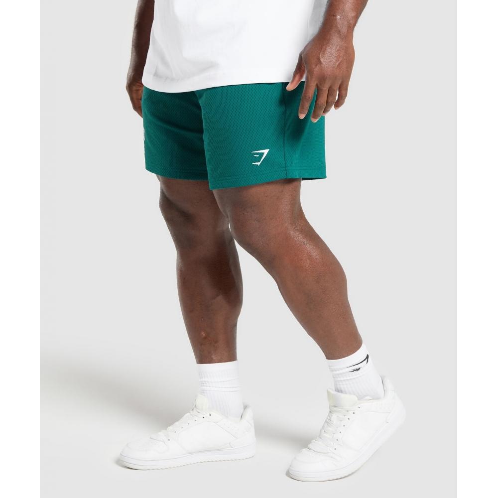 Gymshark Lifting Mesh 7  Shorts Motivate Teal A6a3o Tbqr