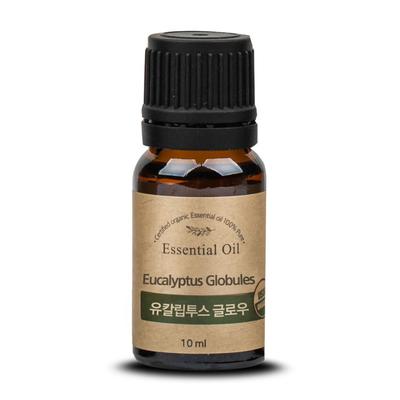 Parfumerie – Uleiuri esențiale