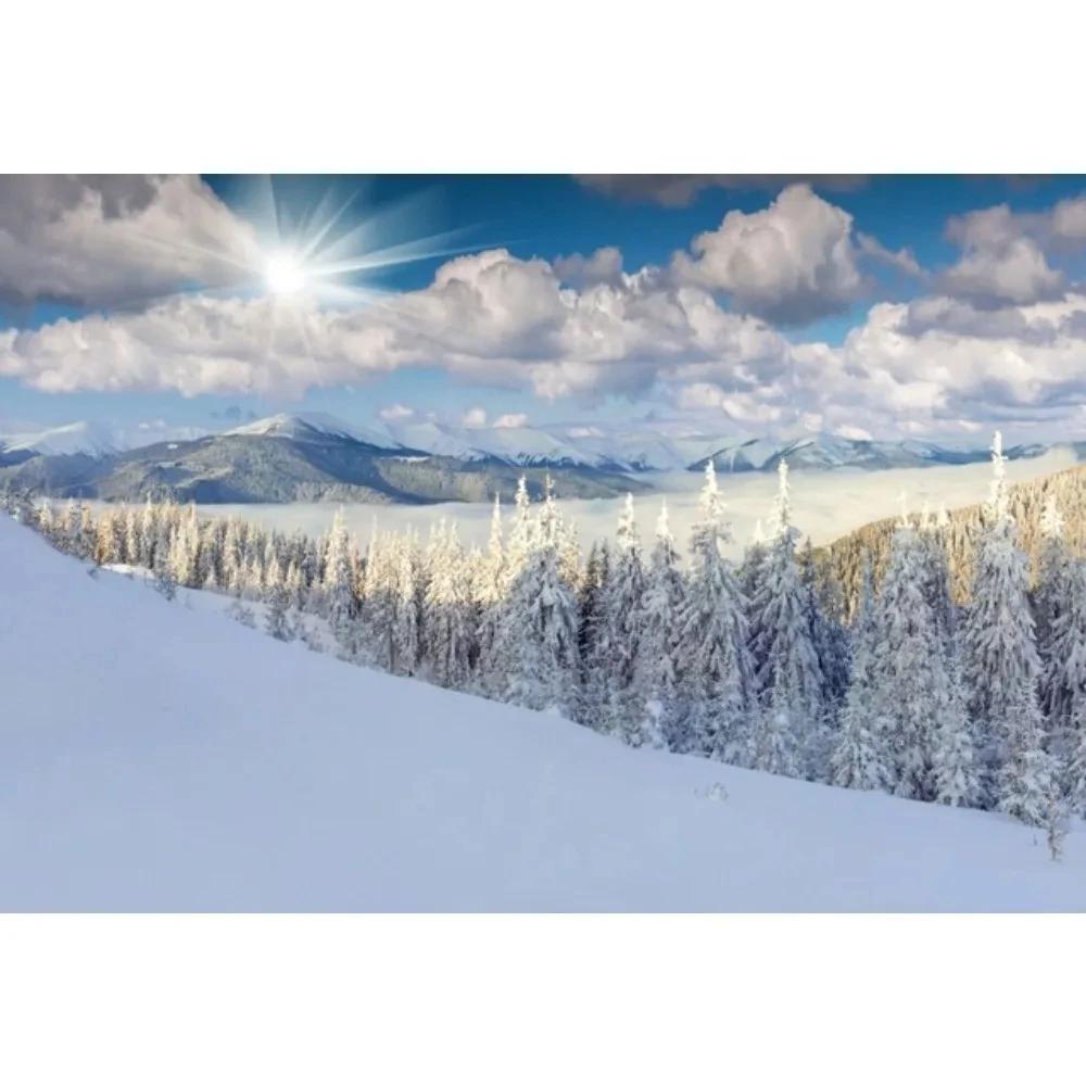 

Зимний Сосновый Лес Гора Снег Небо Холст Картина Натуральный Живописный Фото Фон Принт Постеры Фотостудия Дом Комната Декор 8X12inch 20x30cm