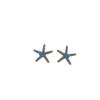 Starlight Zircon Starfish Metal Stud Earrings
