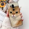 For LG G7 ThinQ Case Cute Cat Luxury Painted Cover Soft Slim Phone Case For LG G7 ThinQ G7Thinq LM-G710 G710 G7+ Back Cover Bags