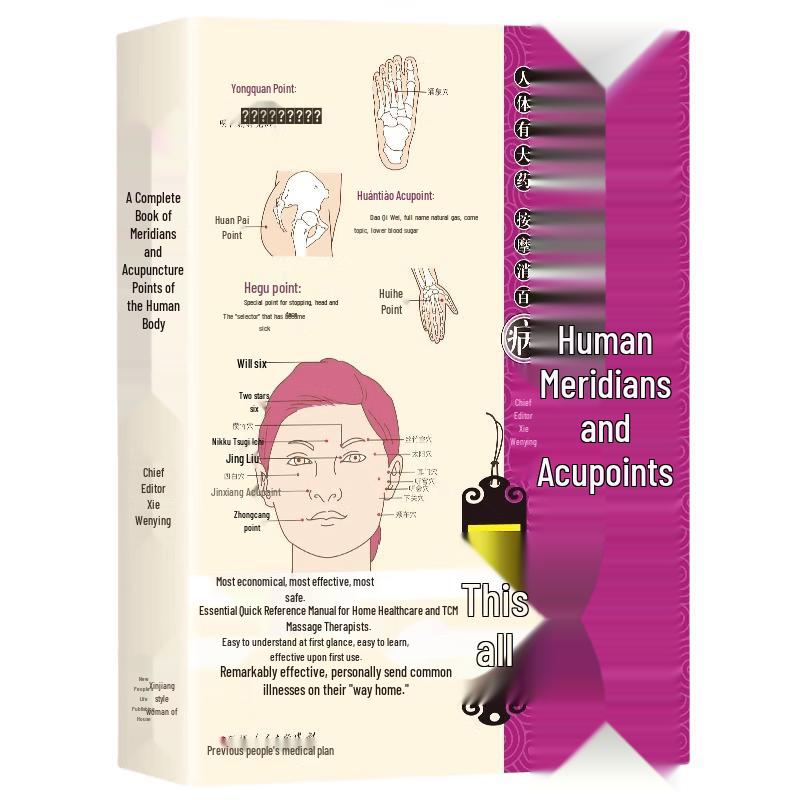 Human Meridian Acupoints Complete Guide