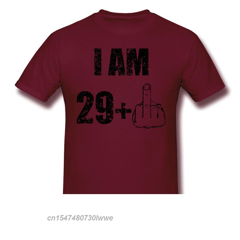 I Am 291 30 Years Old Funny Saying Print Cotton Tshirt Camiseta Hombre Born In 1991 For Unisex Stylish Streetwear Shirt Gift