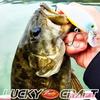 LUCKY CRAFT Pointer 128 Angelköder Minnow (276 Regenbogenforellen)