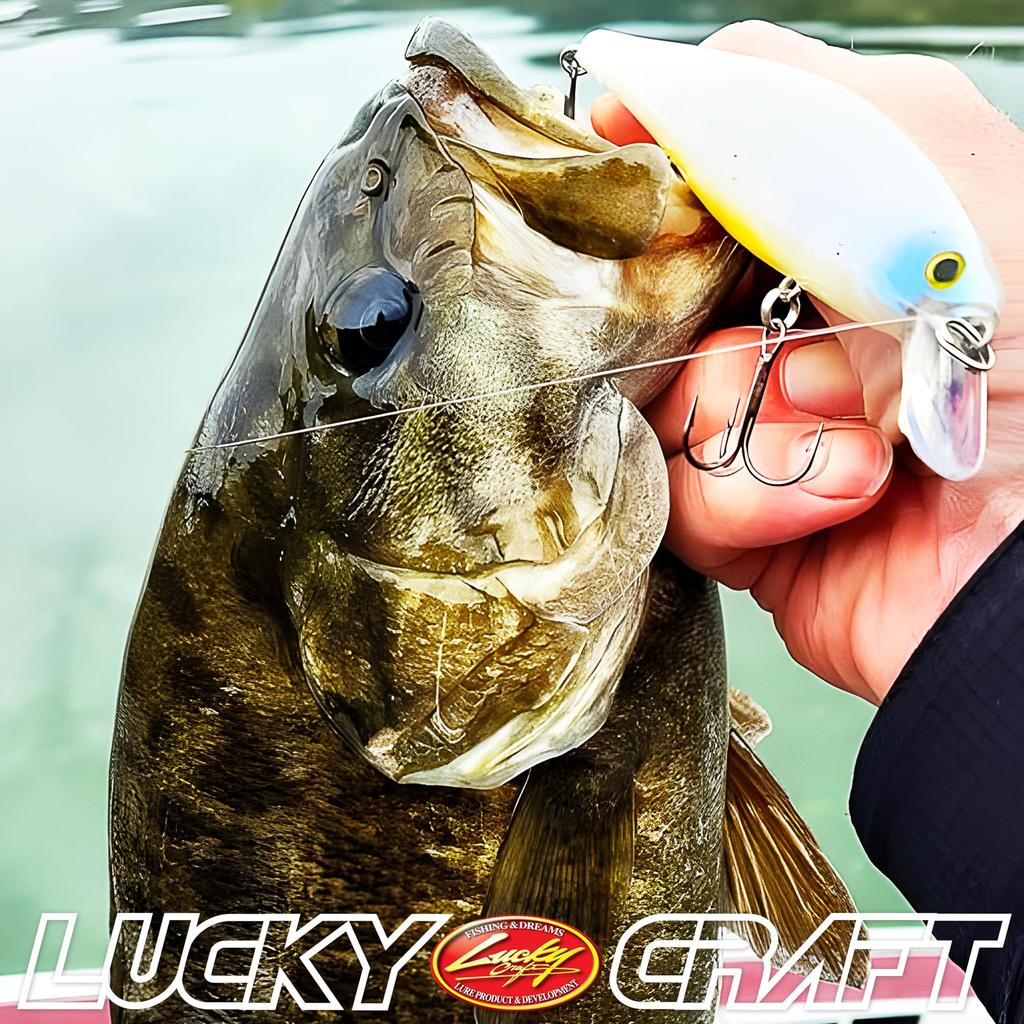 LUCKY CRAFT Pointer 128 Angelköder Minnow (276 Regenbogenforellen)