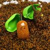 Method Feeder Mould Shell Bait Mold Tool Set For Carp Fishing Bait Press Mould Coarse Fishing Terminal Tackle Accessories