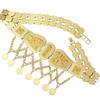 Decorative Waist Chain Jewelry for Women Men, Gold Color Coin Belt with Linked Embossed Panels, Moving Fringe and Adjustable Closure for Weddings and