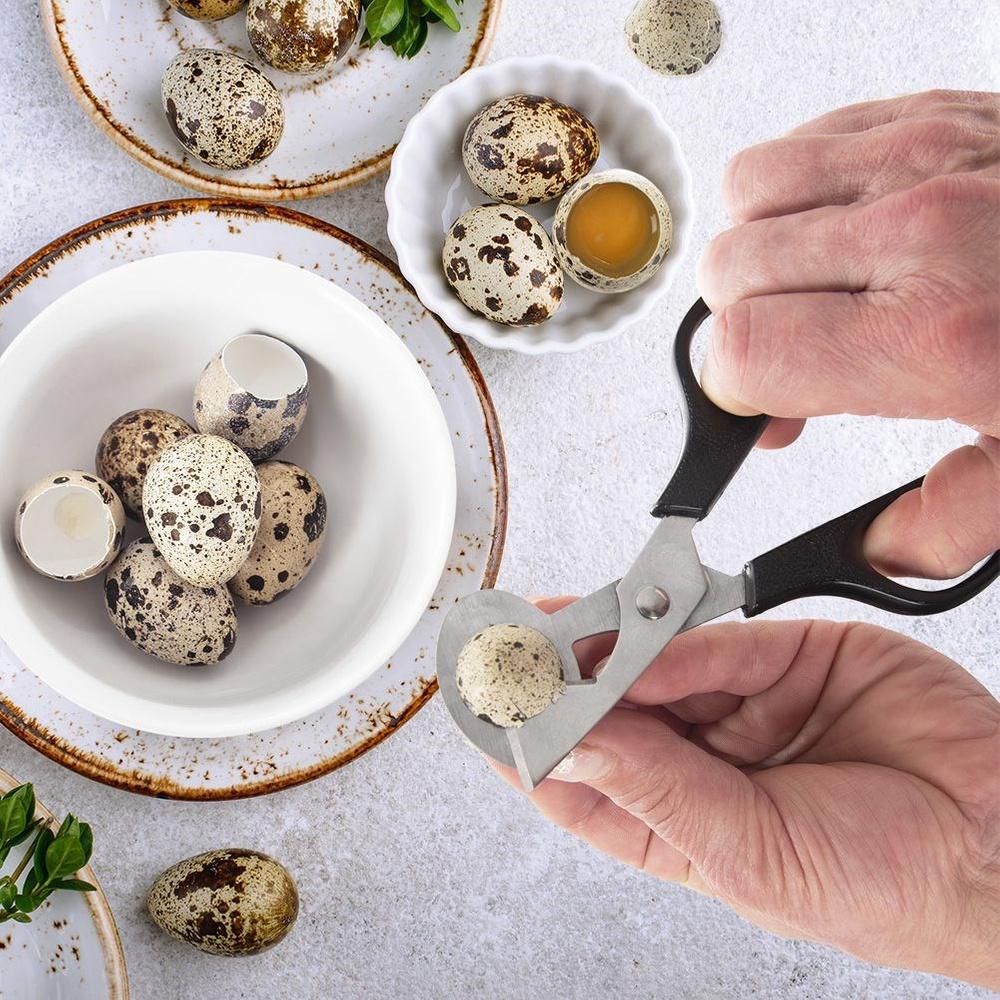 Stainless Steel Quail Egg Scissors Cutter 14.5cm