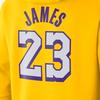 Nike Los Angeles Lakers LeBron James Sport Casual Pullover Hoodie Men Hoodie Yellow CJ9547-728