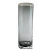 Nordic Clear Glass Vase - Elegant Straight Design for Water-Raised Bamboo or Lilies.