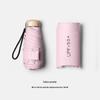 Accessories – Paraplyer