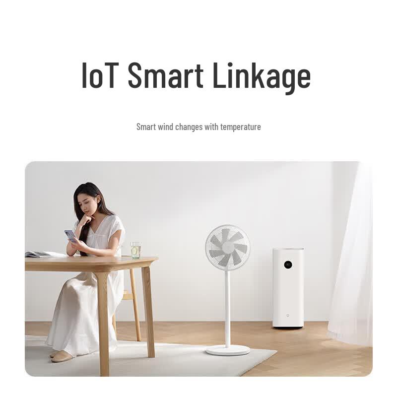 Xiaomi Smart DC Inverter Floor Fan 1X Upgrade CN plug (adapter included)