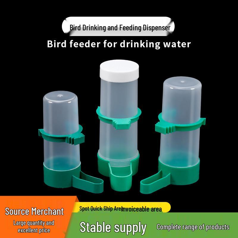 Bird & Parrot Automatic Water Feeder and Food Dispenser