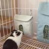 Hängender Futterbeutel Hamster Heu Meerschweinchen Heu Aufbewahrungssäcke Futterbeutel Kleintiere Kaninchen Bissfest Hamster Zubehör