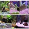 Landscaping Fish Shrimp Ornament Canister House Aquarium Shelter Fish Tank Cave Aquarium Decoration
