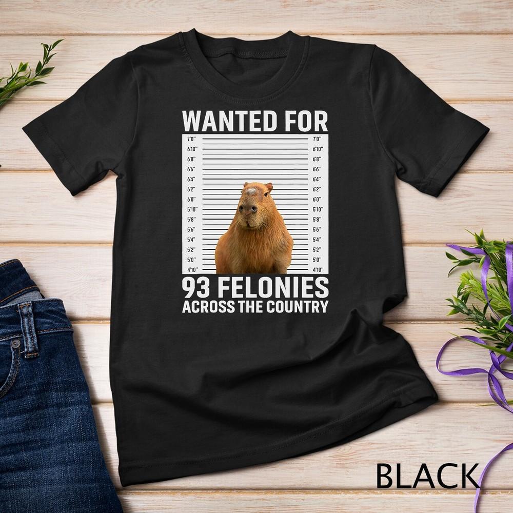 

Funny Capybara Mugshot For 93 Felonies hilarious capybara T-Shirt Unisex T-shirt XL