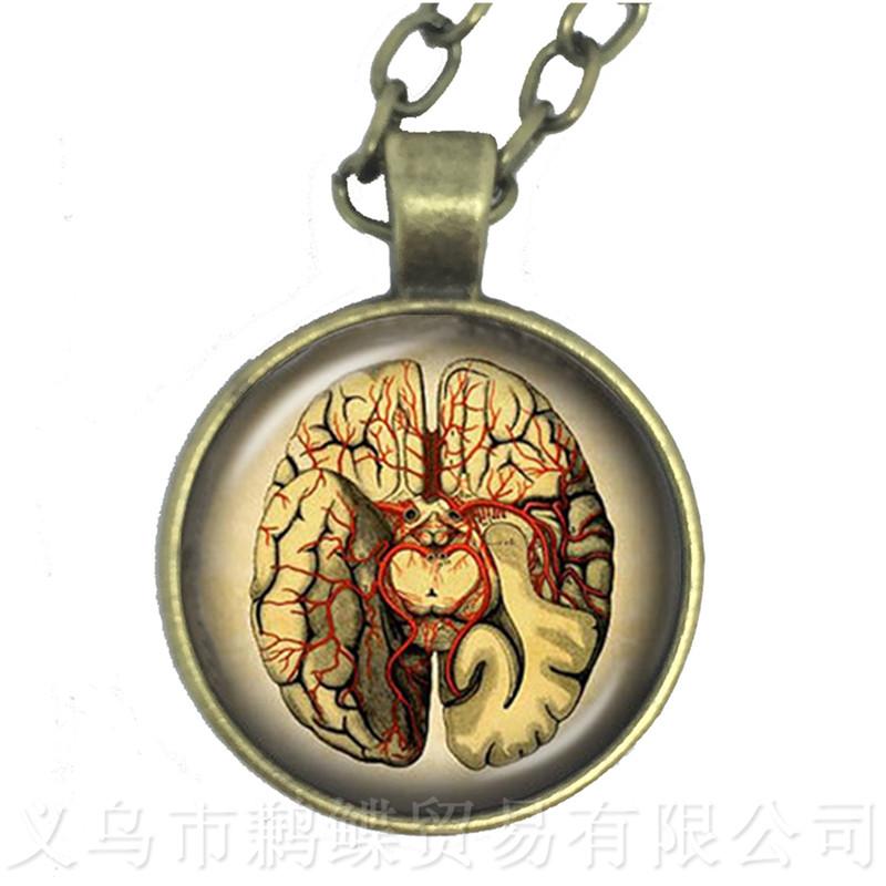 Human Anatomy Organ Necklace Glass Cabochon Science Medical Punk Brain Eye Jewelry Sweater chain Creative Gift