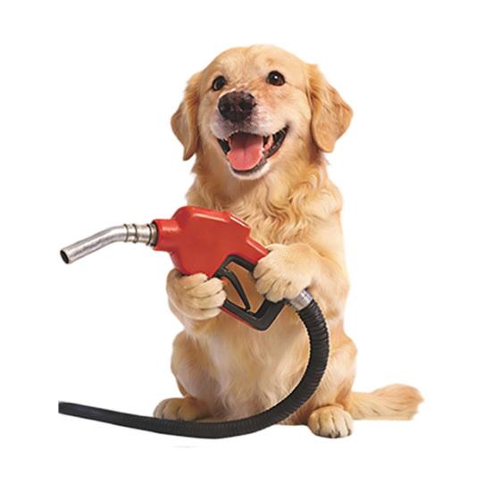 Fun Fuel Cap Sticker Cat Mouse Cute Dog Car A