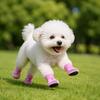 4PCS/Set All Season Dog Shoes Breathable Mesh Adjustable Dog Paw Protection Shoes Anti-slip Puppy Walking Footwear Pets Supplies