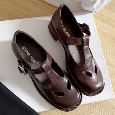 Elegant Hollow Out Thick Heel Shoes Spring Female Flat Shoes 2025 Designer Vintage College Style Mary Jane Shoes Women