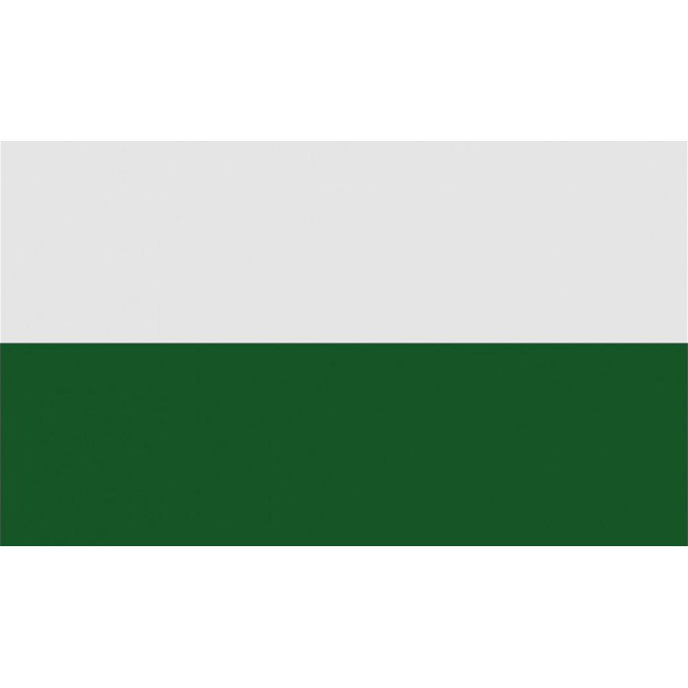 Carta Sport Corner Flag