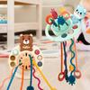 Pull String Interactive Teething Toy For Boy Girl Sensory Educational Boy Girl Toy Fun Early Learning Activity For Boys Girls