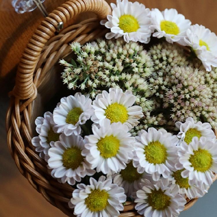 Sturdy Plastic Storage Basket Organizers with Elegant Designs Accent Home Decoration Accessory for Household Daily Use