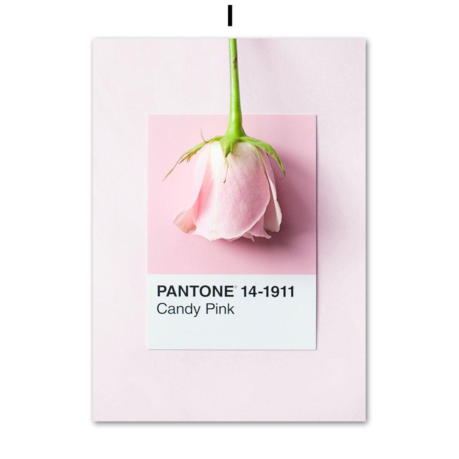 Spring Pink Rose Peony Sakura Dandelion Orchid Sparrow Car Garden Posters Flower Wall Art Canvas Painting Home Room Decor