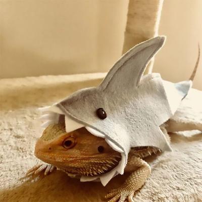 Yousheng Lizard Costume Shark Shape All-match Felt Cloth Cute Lizard Animal Costume Pet Accessories