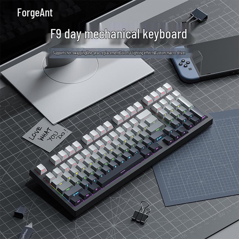 RuiYi F98 Wired 98-Key Mechanical Keyboard, Hot-Swappable, Side-Printed, Full-Key Anti-Ghosting, Office/Gaming.
