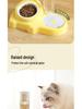 Pet Double Ceramic Bowl: Integrated Water & Food Anti-Tip Feeder for Cats and Dogs