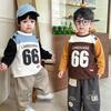 Autumn 2026 Long-Sleeve T-Shirt for Boys - Toddler and Young Children's Base Layer Tops