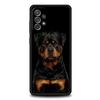 Pit Bull Lovely Pet Dog Pitbull Phone Case For Samsung A51 A71 A21S A12 A11 A31 A41 A03 A52 A32 A22 A13 A23 A33 A53 A73 5G Cover