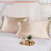 1 Pair Silky Soft Decorative Sleeping Pillow Covers for Bedroom Solid Color Imitation Silk Pillowcase Set