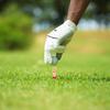 VANZACK Protective Tee Guard for Golf Tees, Long Tees, Plastic,