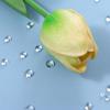 Make DIY Nail Enhancement Drip Decoration Scrapbooking Accessories Waterdrop Simulation Dewdrop