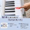Casio Casiotone LK-540 BK (Black) 61-Key Lighted Keyboard
