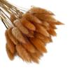 50pcs Dried Rabbit Tail Grass Flowers Artificial Plant Wedding Party